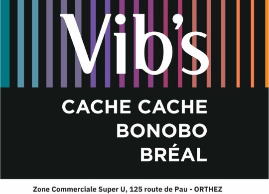 Logo Vib's