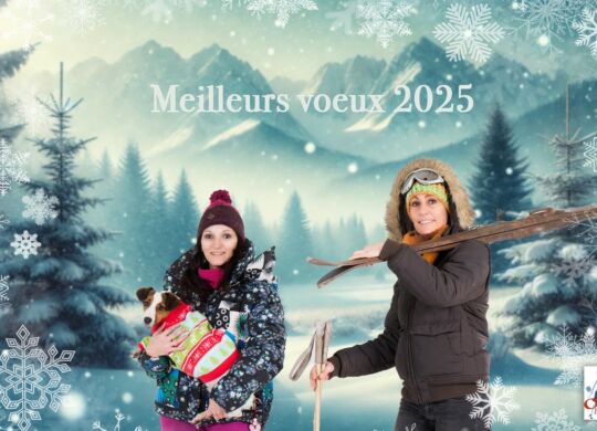 Meilleurs voeux 2025